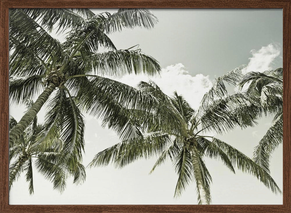 Vintage Palm Trees Poster