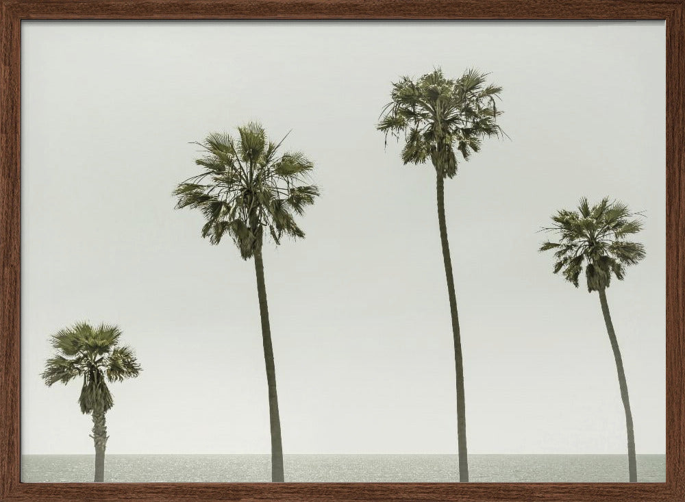 Vintage Palm Trees by the sea Poster