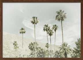 Palm Trees in the desert | Vintage Poster