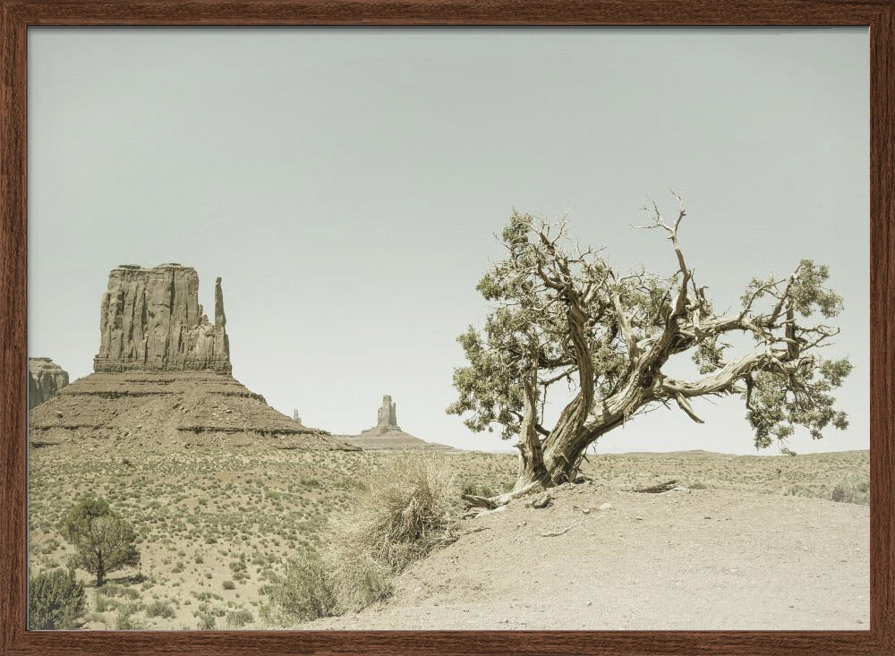 MONUMENT VALLEY Vintage West Mitten Butte and Tree Poster