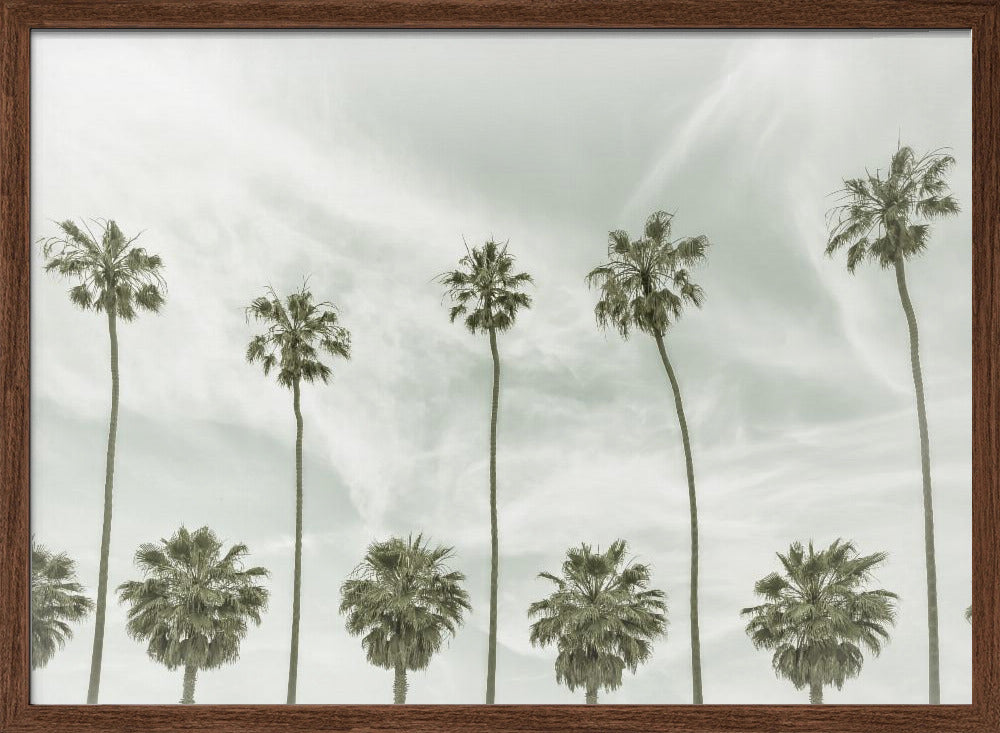 California vintage palm trees Poster