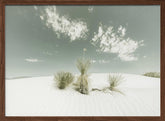 WHITE SANDS Vintage Poster