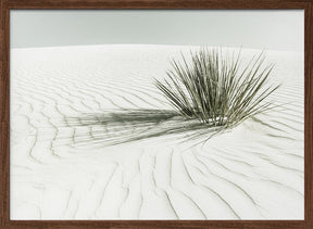 WHITE SANDS Vintage Dune Poster