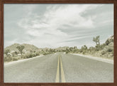 Vintage Joshua Trees, Park Boulevard Poster