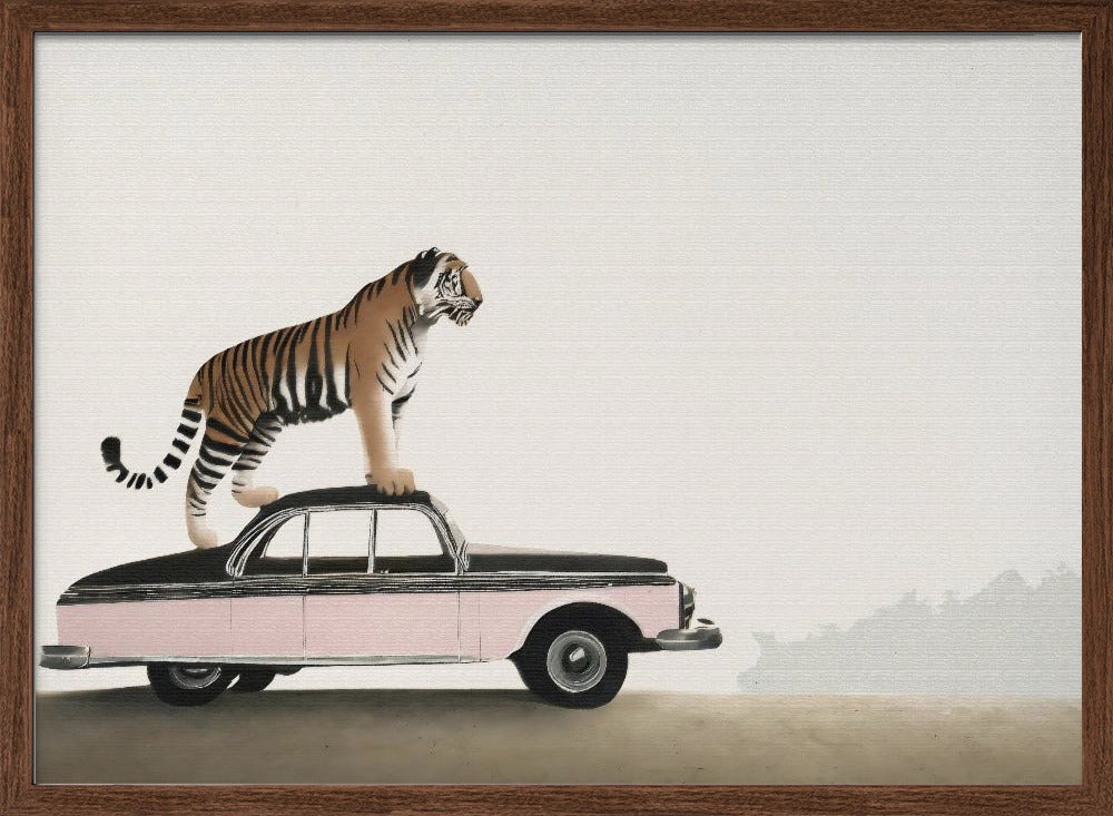 Tiger om a car roof Poster