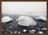 Monochromebeachimpressionsno1 Poster