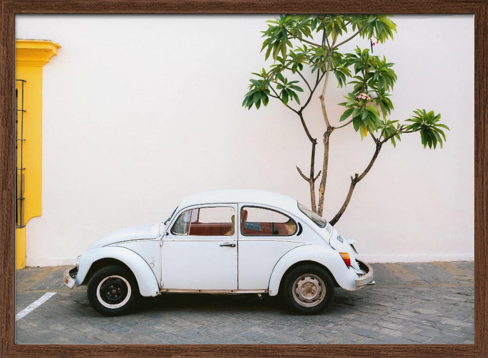 Pastel Volskwagen Beetle in the streets of Oaxaca Mexico Poster