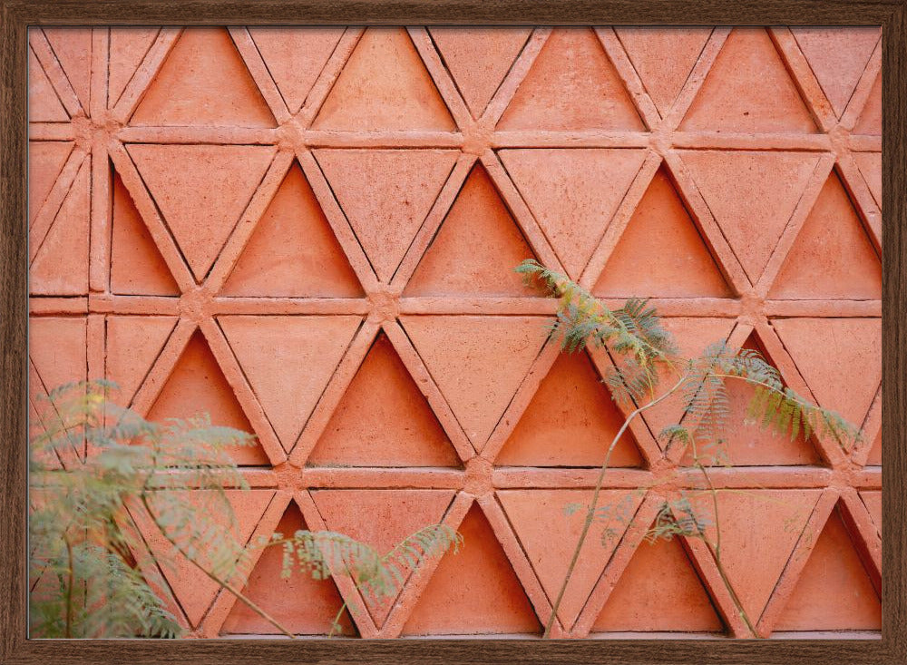 Coral details of Oaxacan Architecture in Mexico Poster