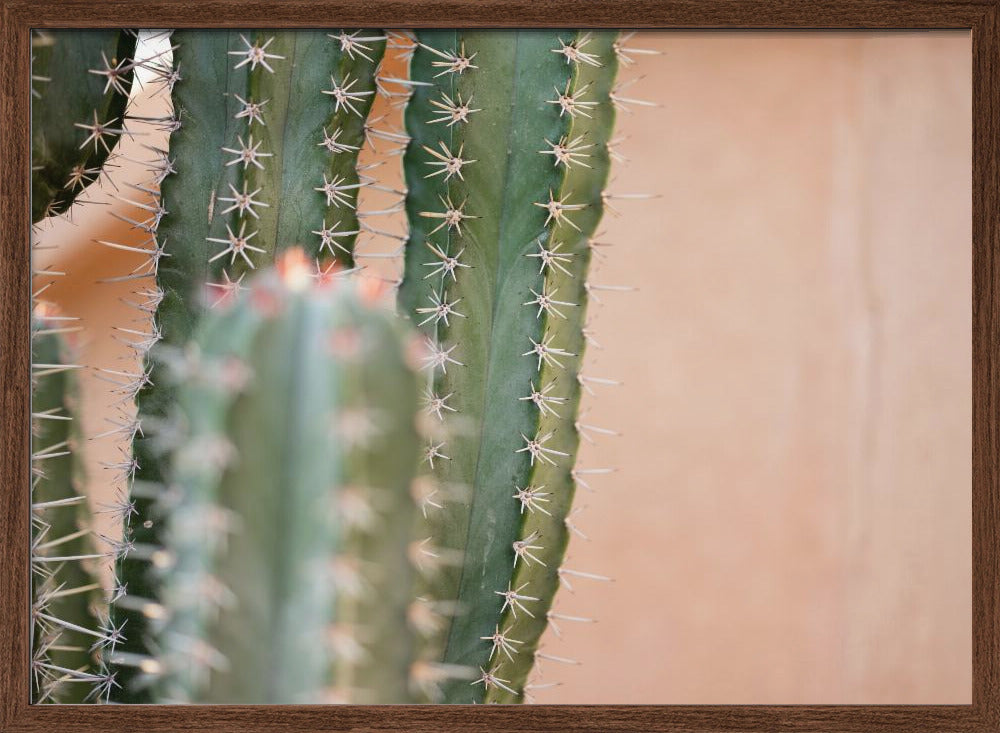 Botanical Pastel Marrakech Poster