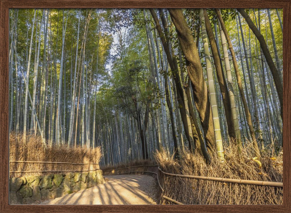 Impressive Arashiyama Bamboo Forest Poster