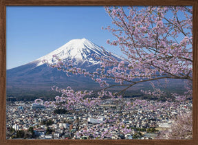 Picturesque view of Mount Fuji during cherry blossom season Poster