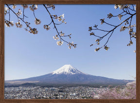 Fantastic panoramic view of Mount Fuji with cherry blossoms Poster