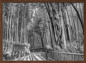 Impressive Arashiyama Bamboo Forest - monochrome Poster