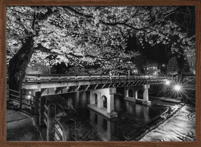 Picturesque Nakabashi Bridge in the evening - monochrome Poster