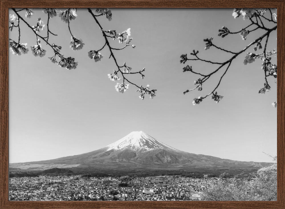 Fantastic panoramic view of Mount Fuji with cherry blossoms - monochrome Poster