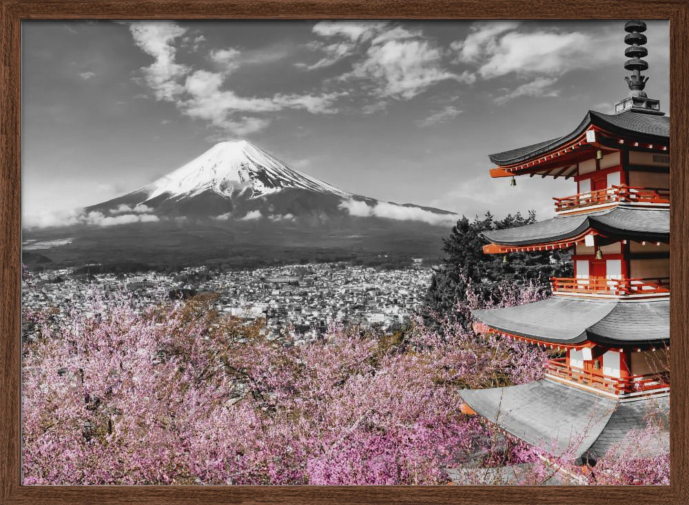 Lovely view of Mount Fuji with Pagoda and Cherry Trees - colorkey Poster