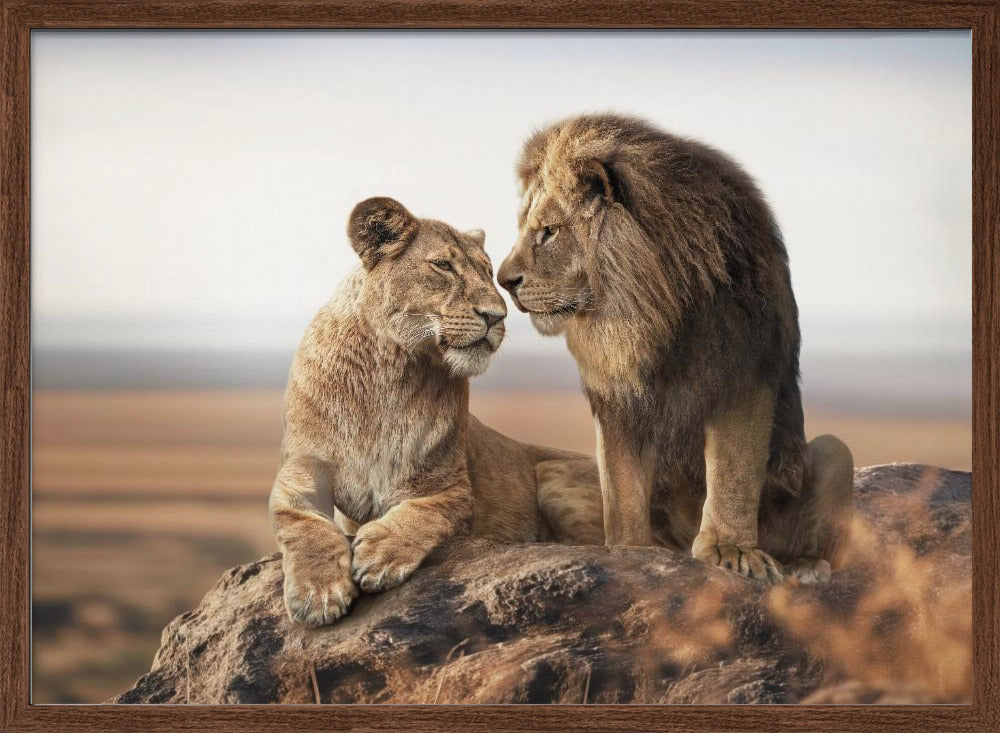 LionLove Poster