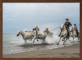 Camargue horses Poster