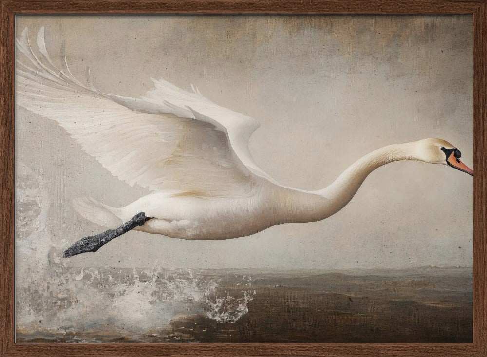 Flying Swan Poster