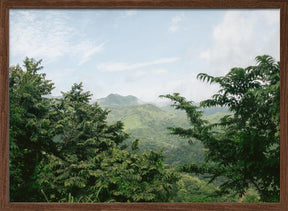 Greens of Monteverde Costa Rica Poster