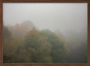 Foggy Autumn Forest Poster