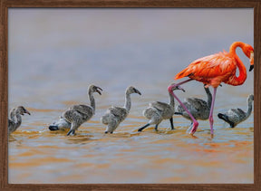 Flamingo Babysitter Poster