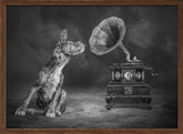 MusicDog-BW Poster