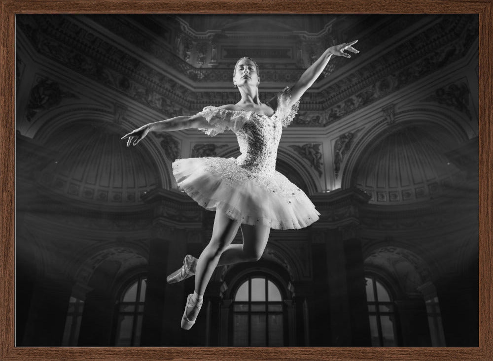 BallerineSaut-BW Poster