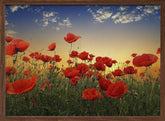 Poppies Poster