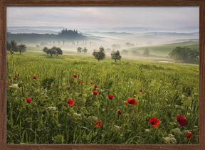 Tuscan spring Poster