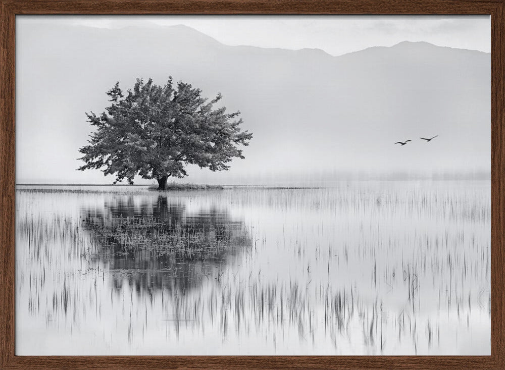 Spring Mirror Poster