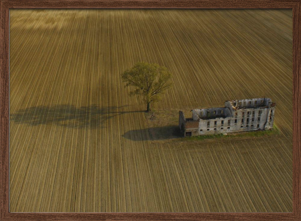 Time is the only witness Poster