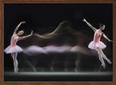 Graceful Balerina Poster