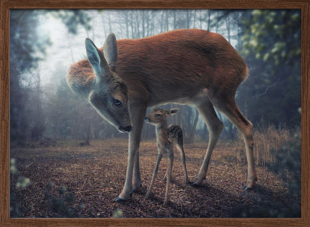 Mother and Fawn Poster