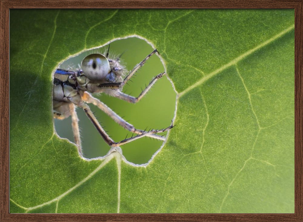 At the window Poster