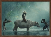 Water Buffalo Poster