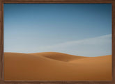 Sensual desert Poster