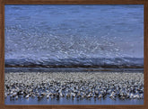 Before Dawn - A Day of Snow Goose Migration Poster