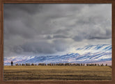 At the foot of the Tianshan Mountains Poster