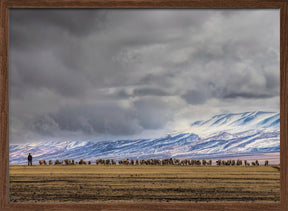 At the foot of the Tianshan Mountains Poster