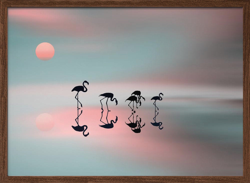 Family flamingos. Poster