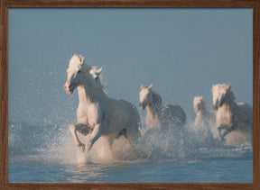 Angels of Camargue Poster