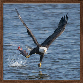 Lunch over Mississippi Poster