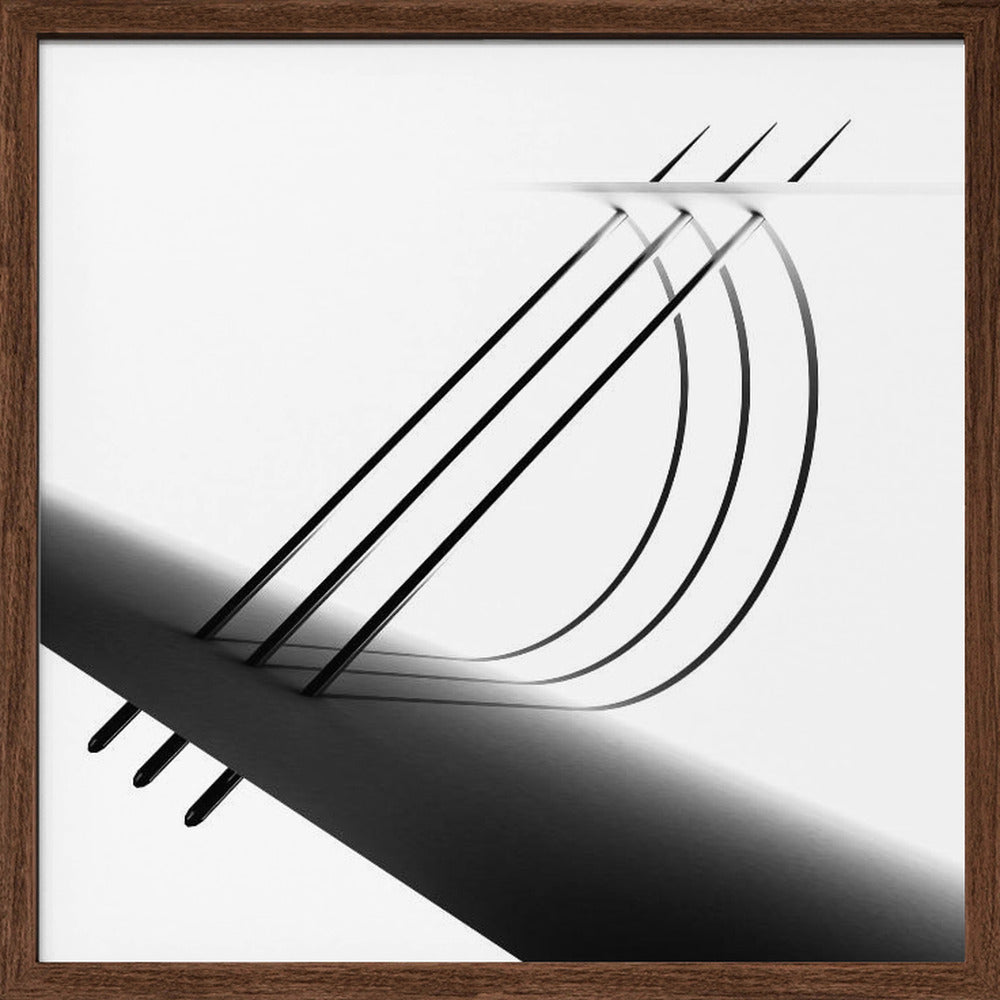 Arch of Needle Poster