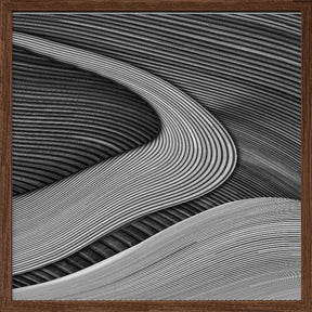 The wood project III - Zen garden Poster