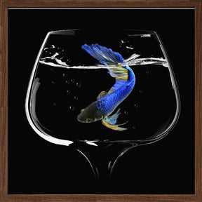 Betta Fish Dance Poster