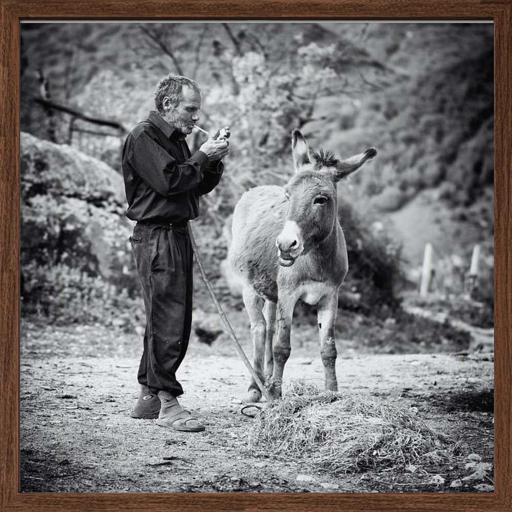 Vova and his donkey Poster