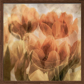 Tulips Poster