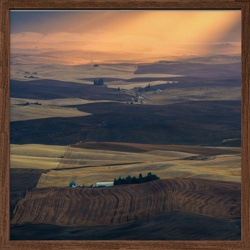 Palouse Impression Poster