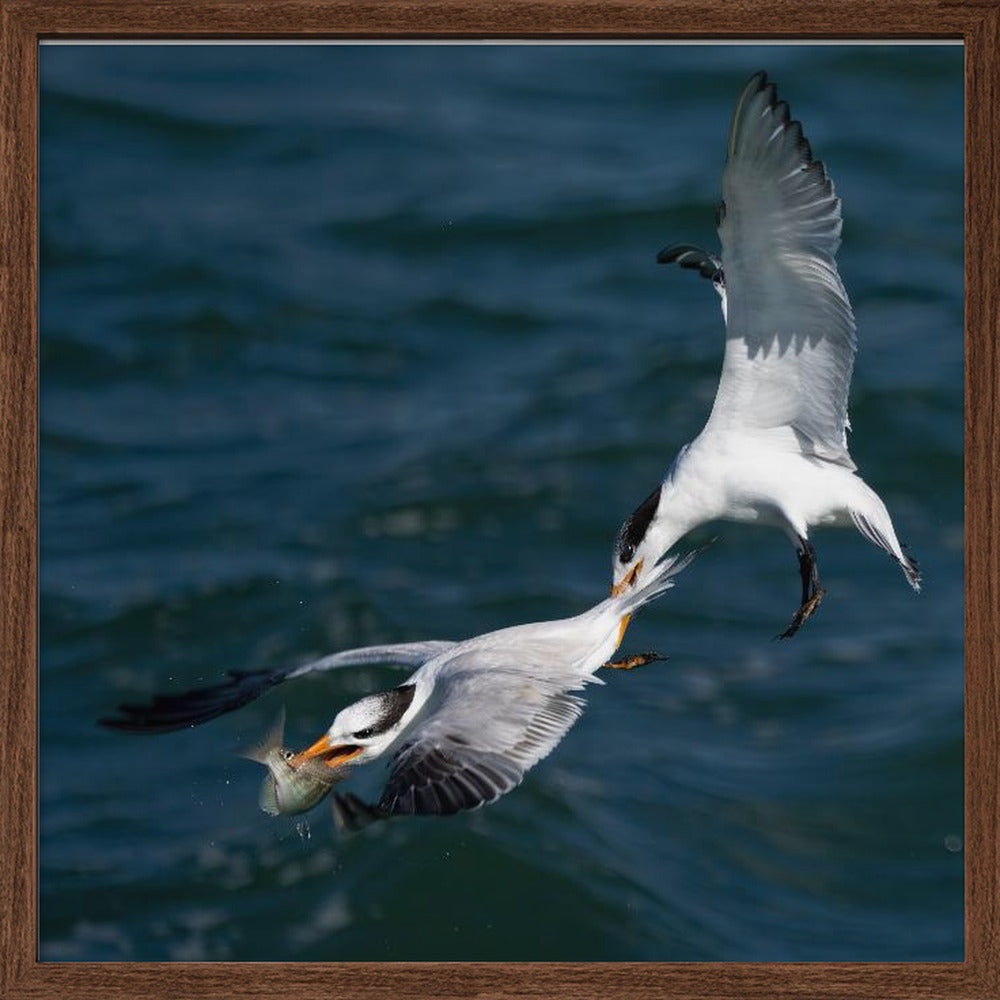 Robbery on the High Sea Poster